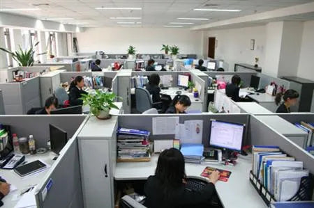 Women's Winter Parka Thick Warm Fleece Lined Long Coat Hooded Plus Size Print Design Ladies Padded Puffer Jacket