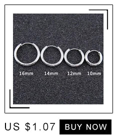 Multiple Tiny Stainless Steel Animal Earrings for Women Cute Hummingbird Fish Seahorse Wolf Earings Jewelry Accessory Gift