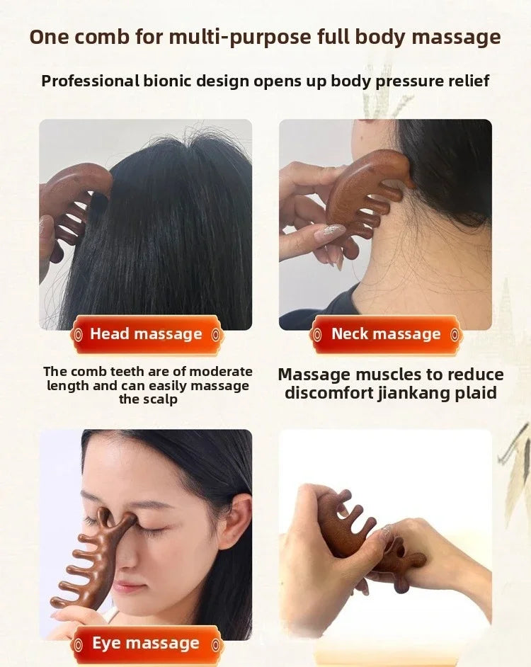 Specialized Round Head Massage Comb | Stimulate Scalp Circulation for Hair Growth | Anti-Static Wide Tooth Design