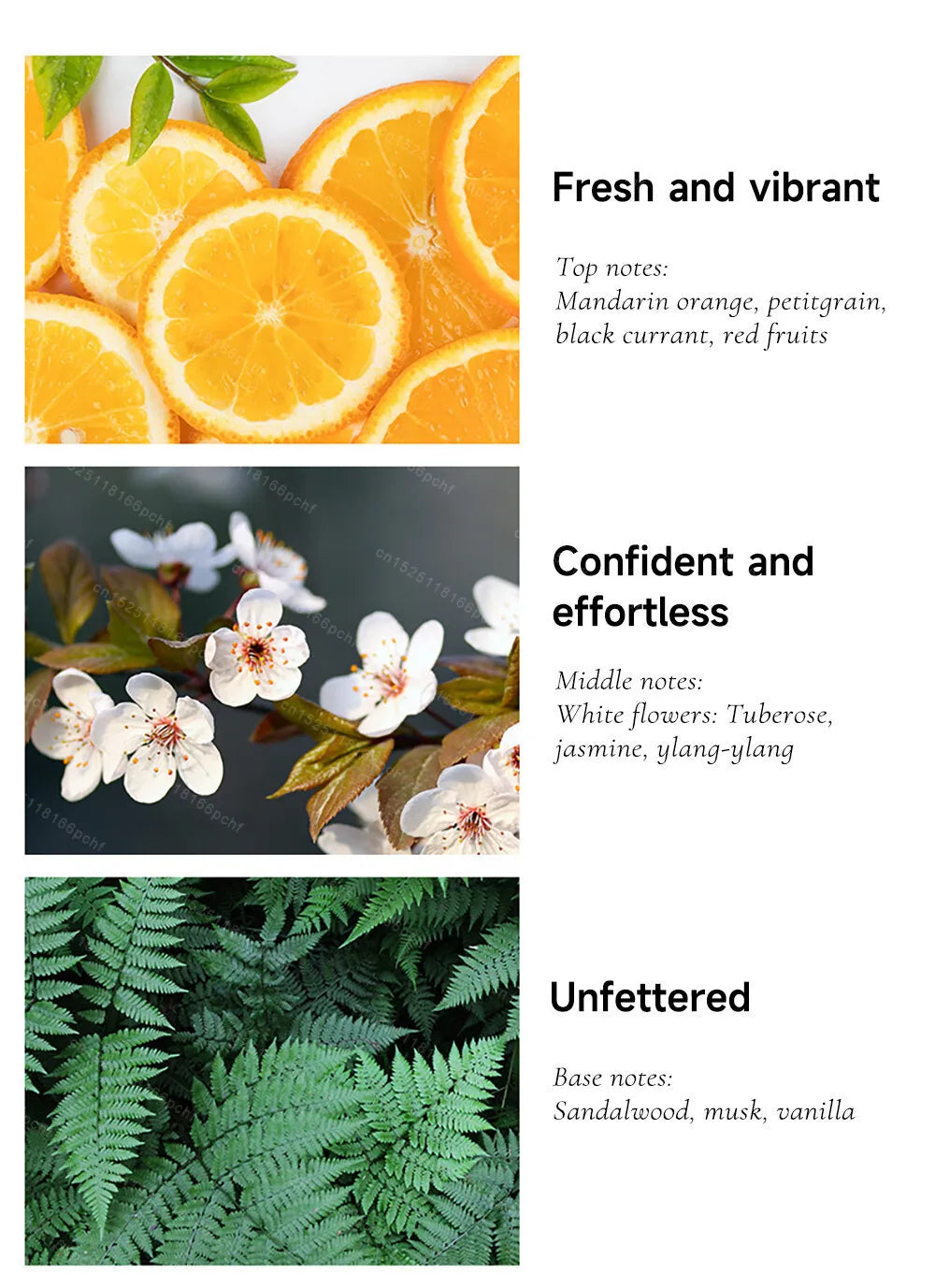 50/100Ml Lady Elegant Perfume Citrus note Fresh Floral Fruity Fragrance Long-Lasting Fragrance Charming Romantic Pheromone Spray