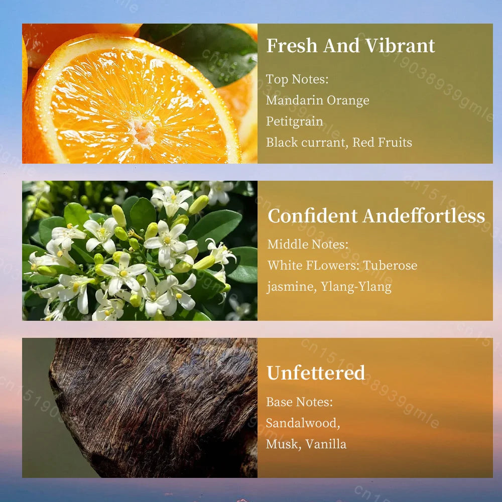 50/100Ml Lady Elegant Perfume Citrus note Fresh Floral Fruity Fragrance Long-Lasting Fragrance Charming Romantic Pheromone Spray