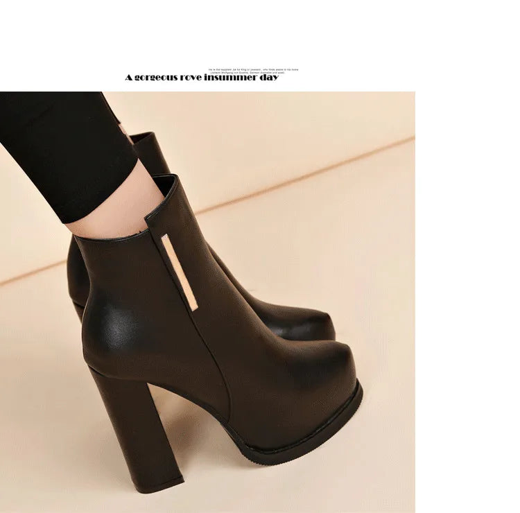 Autumn Winter Plush Boots Women British Thick Heel Waterproof Platform Thick Bottom Short Boot High Heels Lady