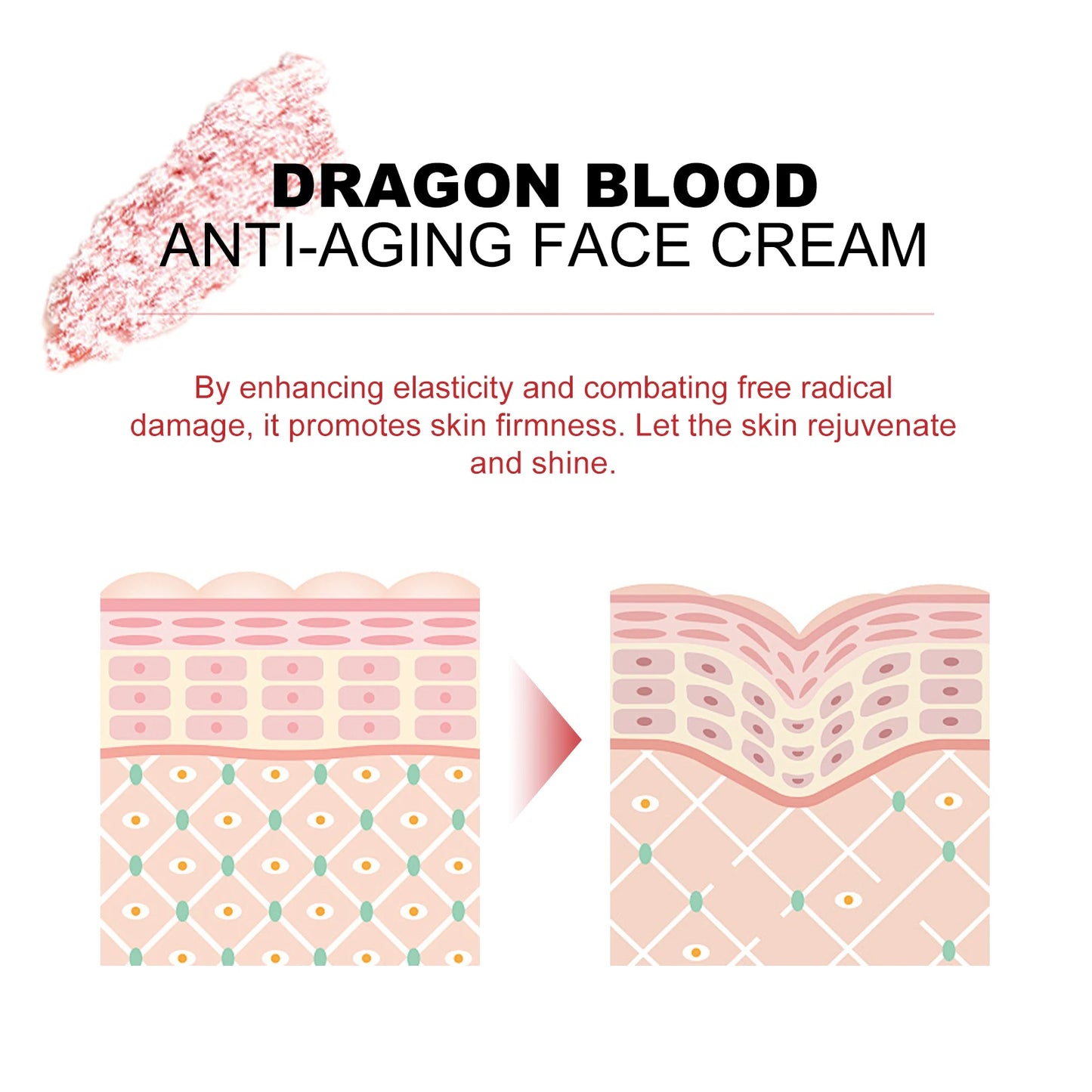 EELHOE Dragon Blood Cream Rejuvenation Facial Treatments Reduce Fine Lines Anti Wrinkle Tighten Skin Lifting Dragon Blood Serum